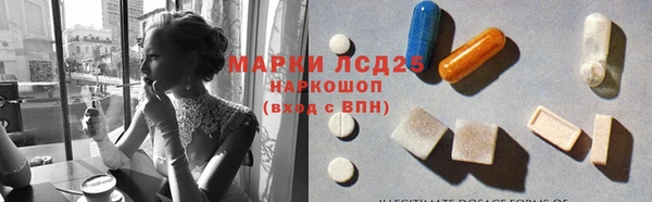 прущие крисы Гусев