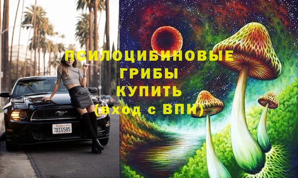 прущие крисы Гусев