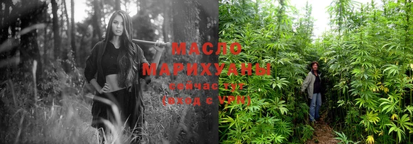 стаф Гусь-Хрустальный