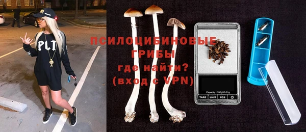 прущие крисы Гусев
