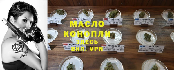 стаф Гусь-Хрустальный