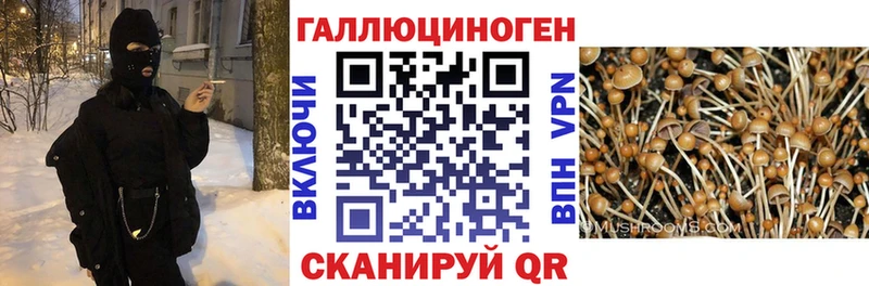 мориарти формула  mega зеркало  Галлюциногенные грибы прущие грибы  Дмитровск  что такое наркотик 